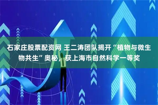 石家庄股票配资网 王二涛团队揭开“植物与微生物共生”奥秘，获上海市自然科学一等奖