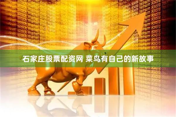 石家庄股票配资网 菜鸟有自己的新故事