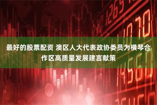 最好的股票配资 澳区人大代表政协委员为横琴合作区高质量发展建言献策